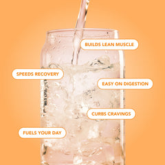 Clear Protein Water: Tropical Orange (12 Oz. | 12 Pack)