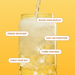Clear Protein Soda: Frosted Lemonade (12 Oz. | 12 Pack)